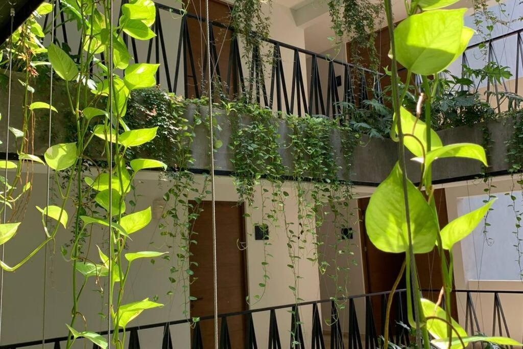New! Luxury Floor Condo-steps To 5th-fast Wifi * Playa del Carmen
