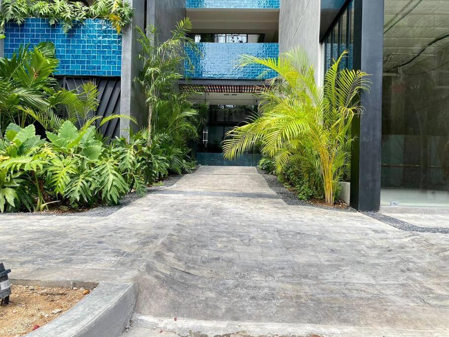Apartamento New! Luxury Floor Condo-steps To 5th-fast Wifi Playa del Carmen
